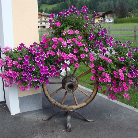 Haus Schnepfleitner Apartment Dorfgastein Exterior photo